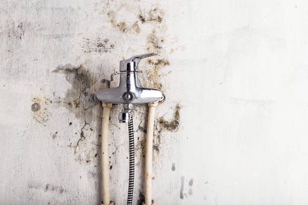 Best Mold Testing  in Clinton, NY