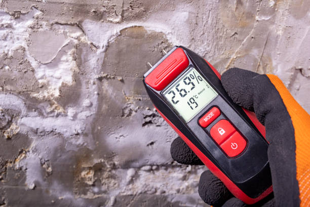 Office Mold Removal Services in Clinton, NY