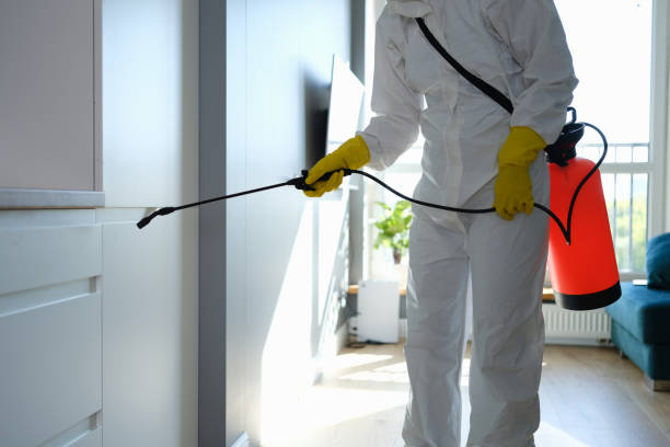 Best Certified Mold Removal  in Clinton, NY